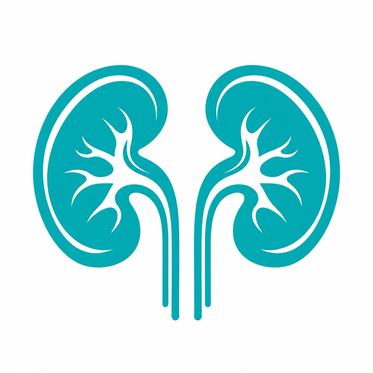 Kidney