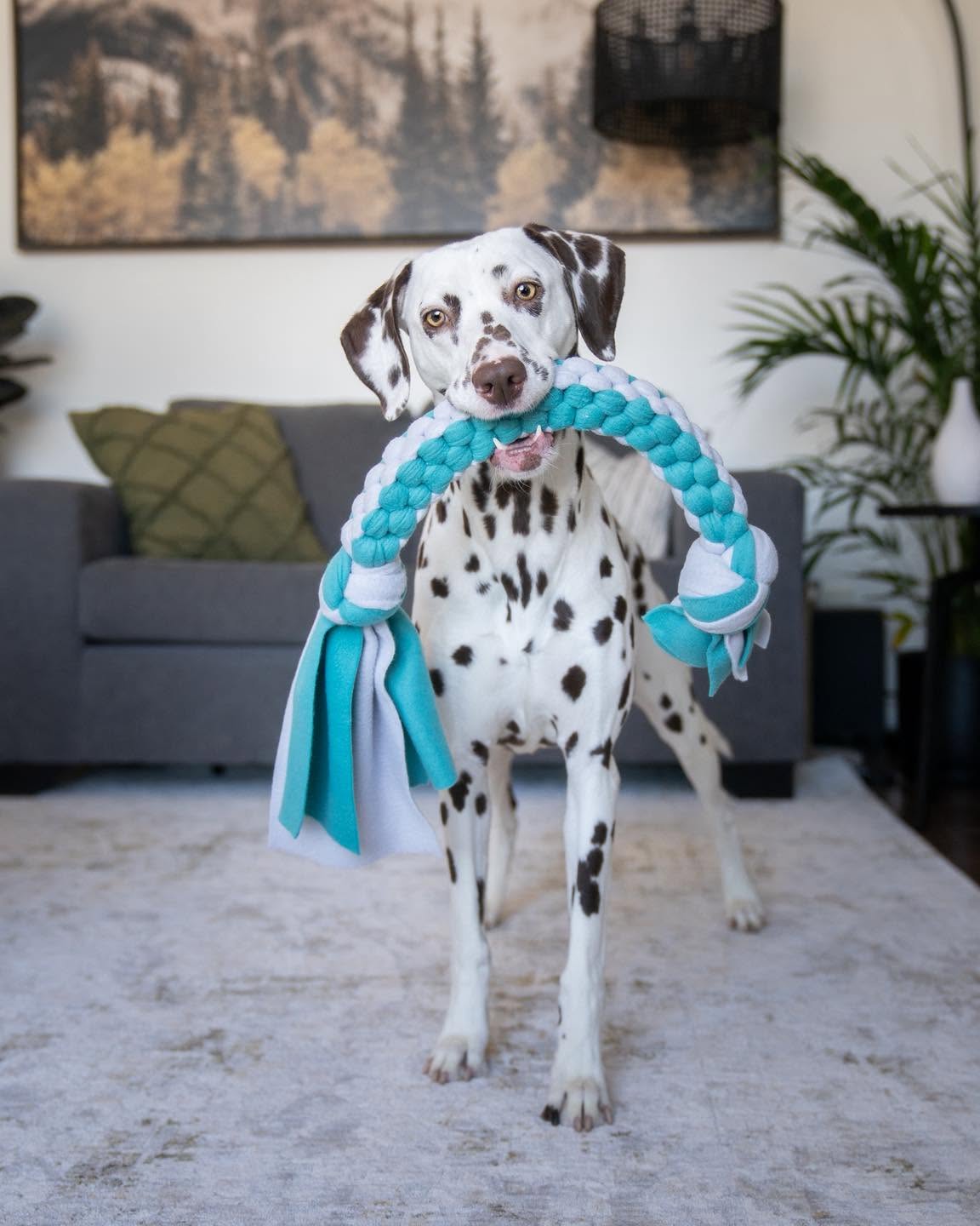 Fleece Tug Toys