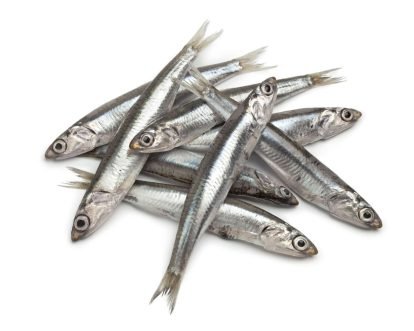 Whole Wild-Caught Anchovies