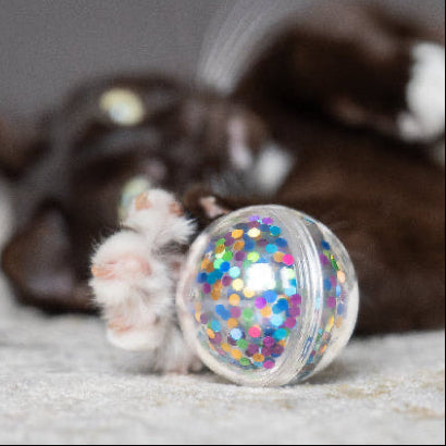 Kong Cat Ball