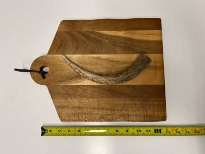 Elk Antlers