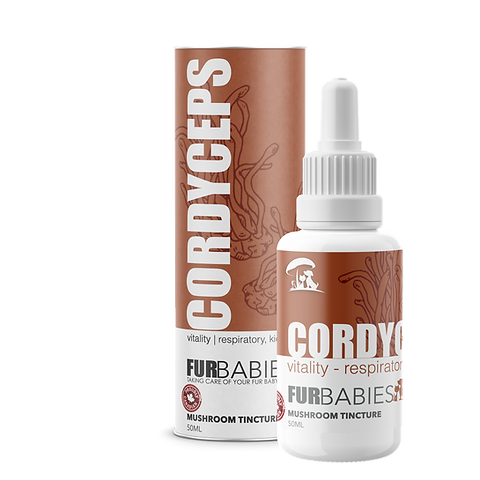 Furbabies Mushroom Tinctures