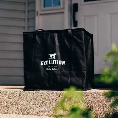 Cooler Bag