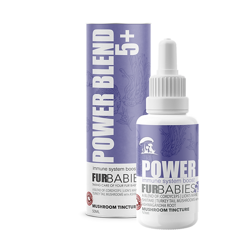 Furbabies Mushroom Tinctures